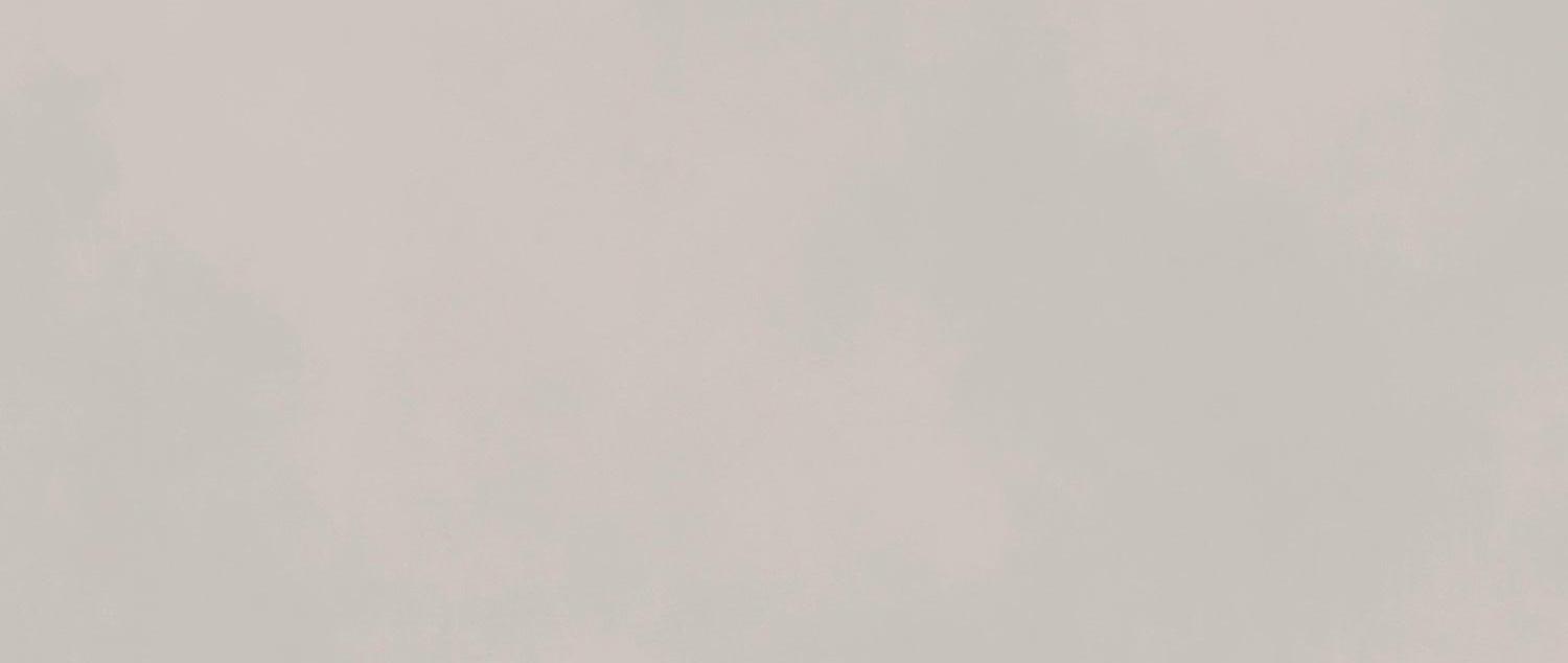 AKMY Настенная Boost Color Dove 50x120 - фото 4