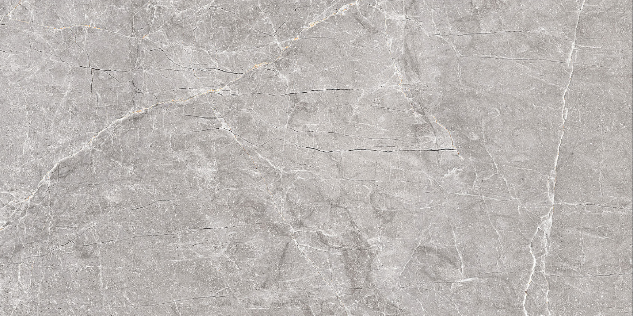 BR-01-01-0612-0001-1 На пол Concrete Ferna Cinerea Carving 60х120