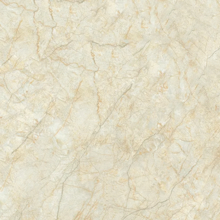 D6615 На пол Gloss Porcelain Полированная 60x60