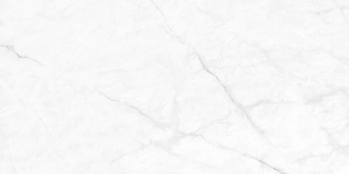 N130008 На пол Classic Marble Calacatta Fantasy Polished 60x120