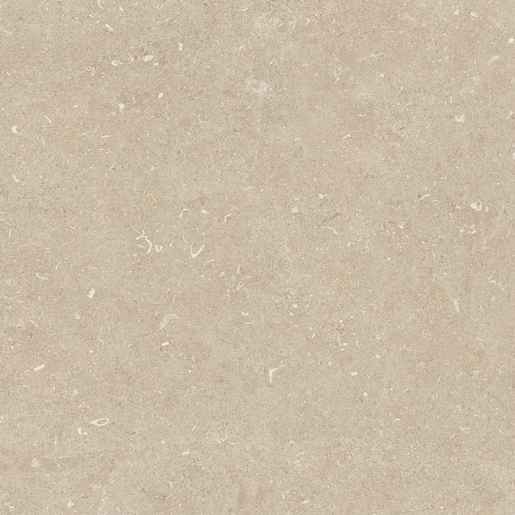 785485 На пол Rinascenza Arena Conchiglia Matte 60x60 - фото 7