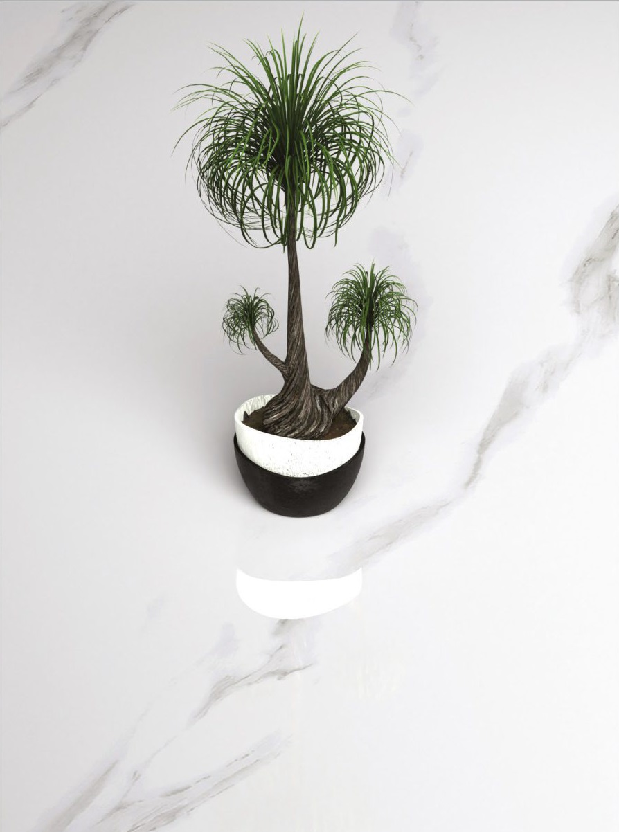 One Touch Ceramic Statuario Paradise