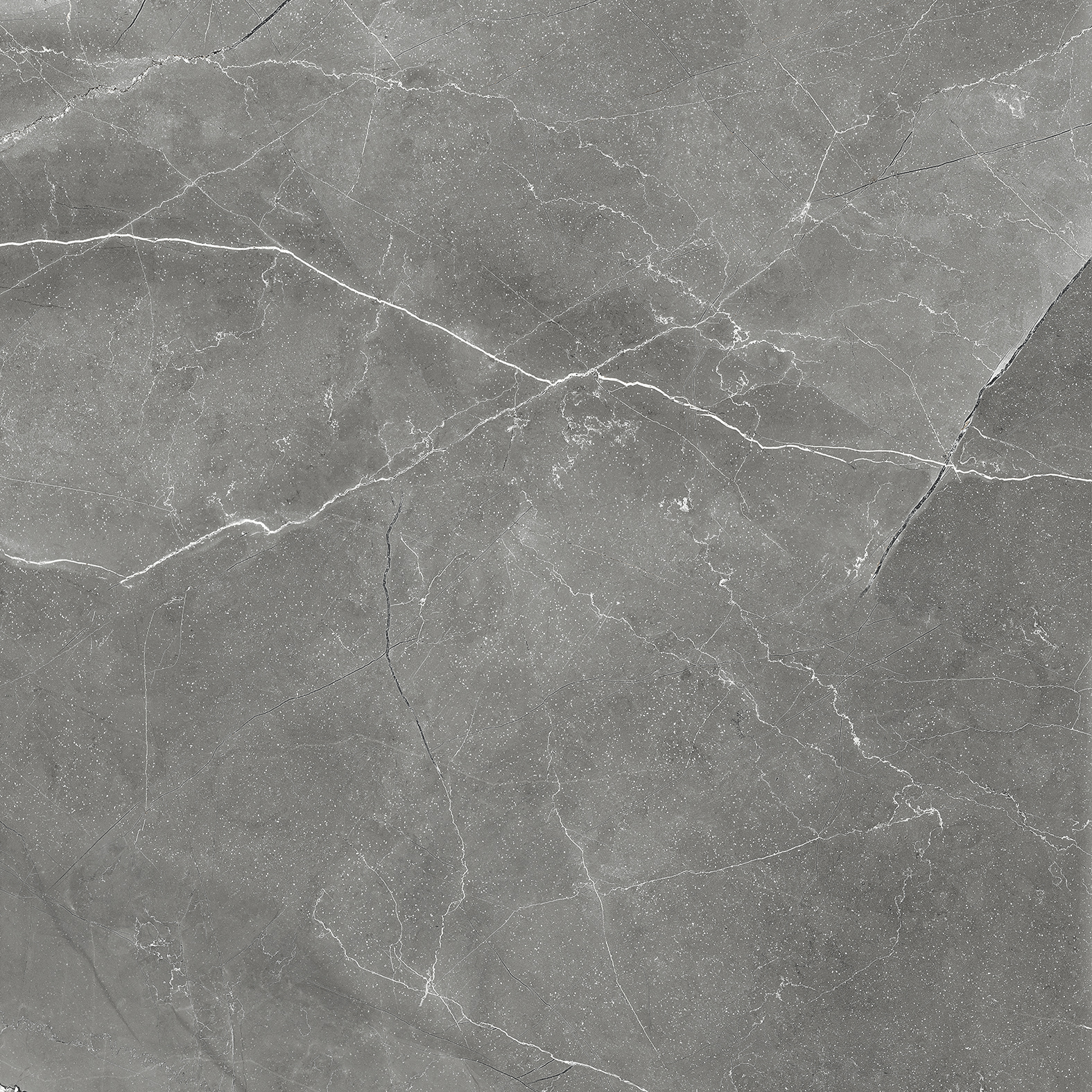 CR6011-A На пол Pulpis Nero Carving 60x60 - фото 8