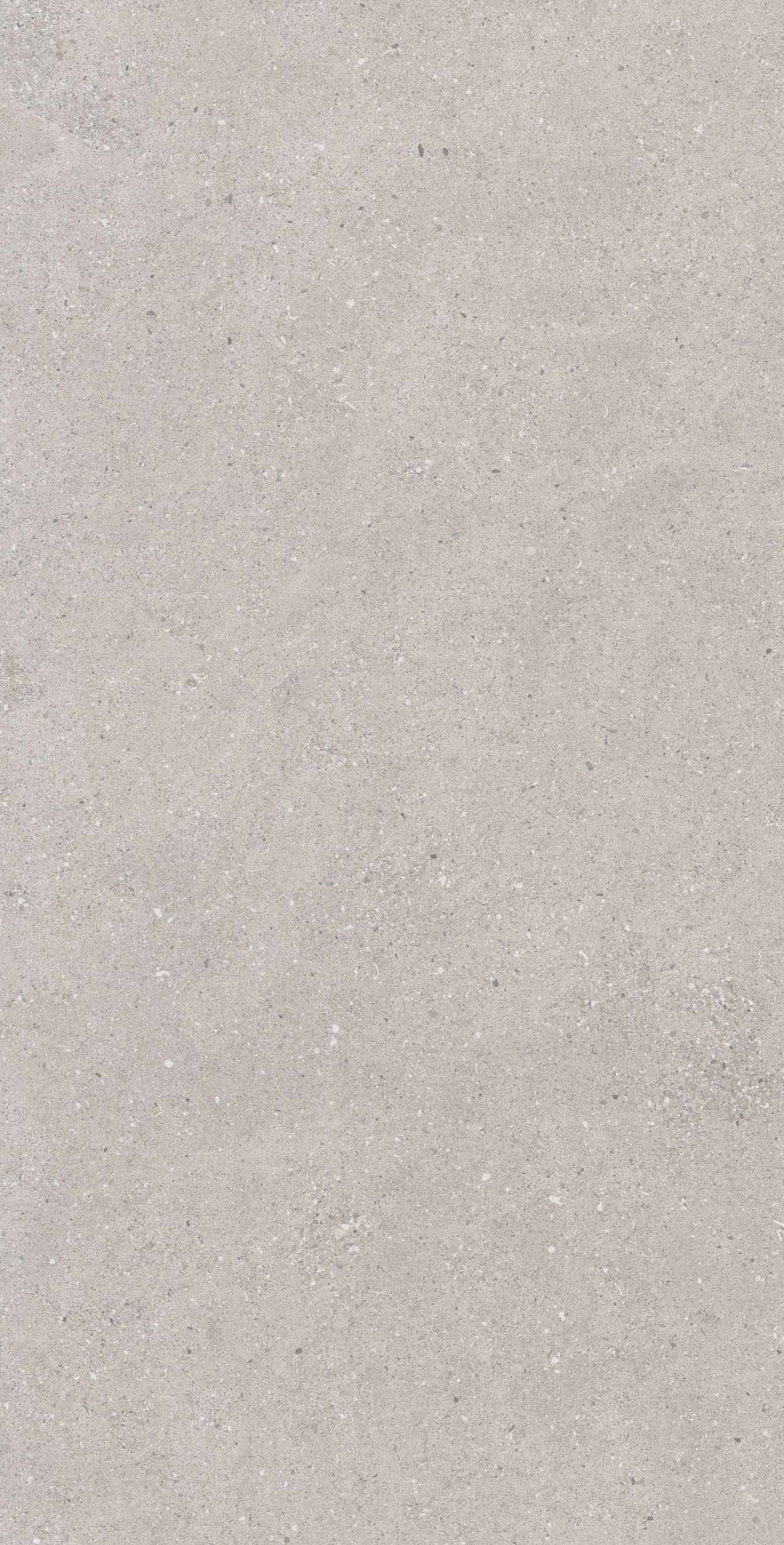 CE02/NR_R9/60x120x9R/GW На пол Спенс CE02 Светло-серый Структурированный Рект 60x120x9