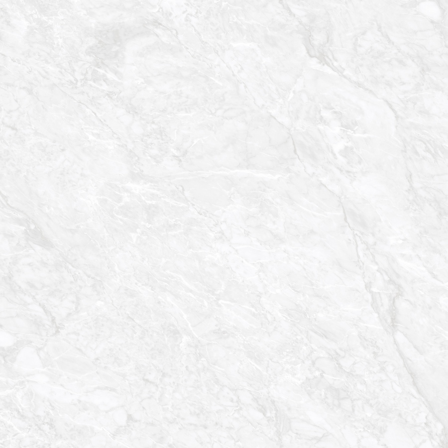 N20549 На пол Unica Orobico Bianco Matt 120x120