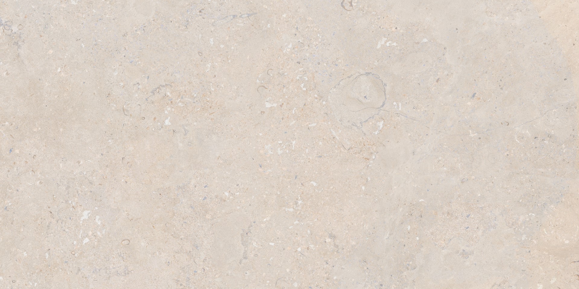 На пол Salerno Avorio Rect 60x120 - фото 2