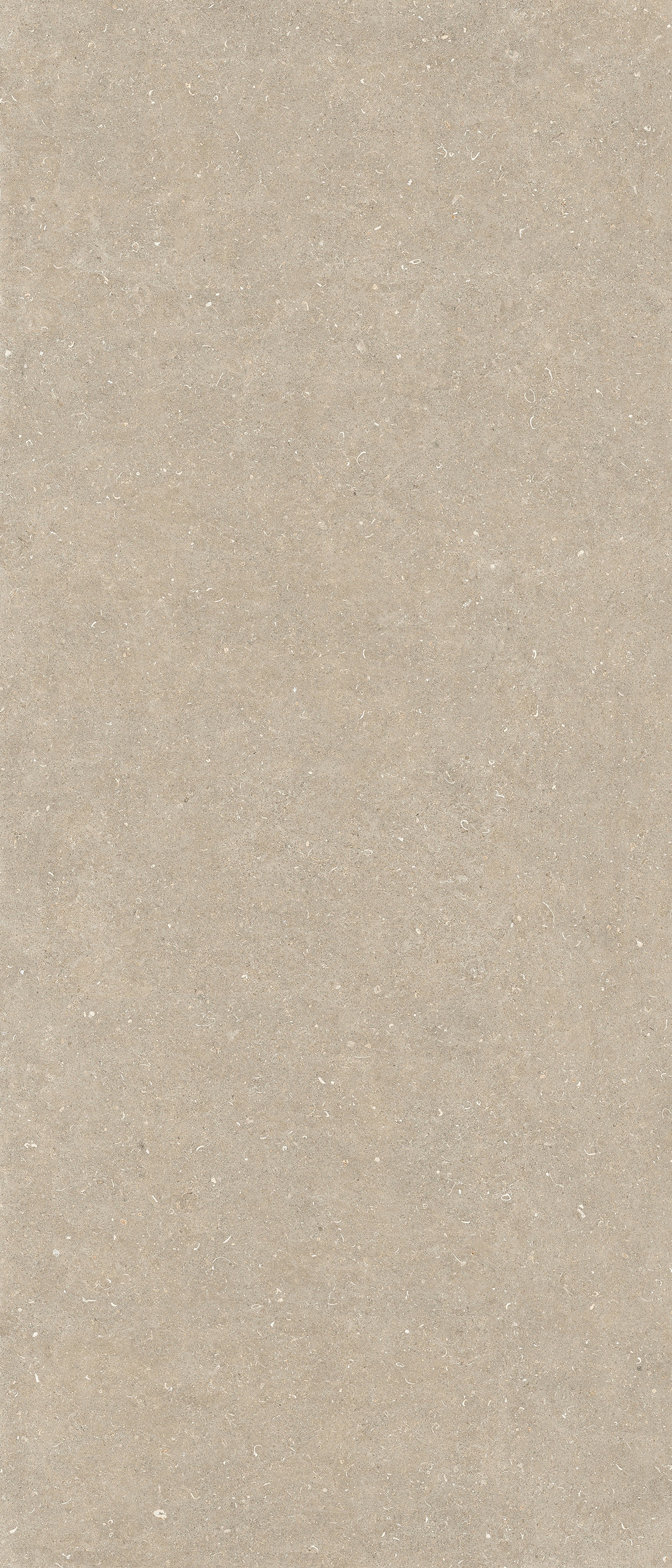 785571 На пол Rinascenza Arena Conchiglia Matte 6mm 120x280 - фото 2