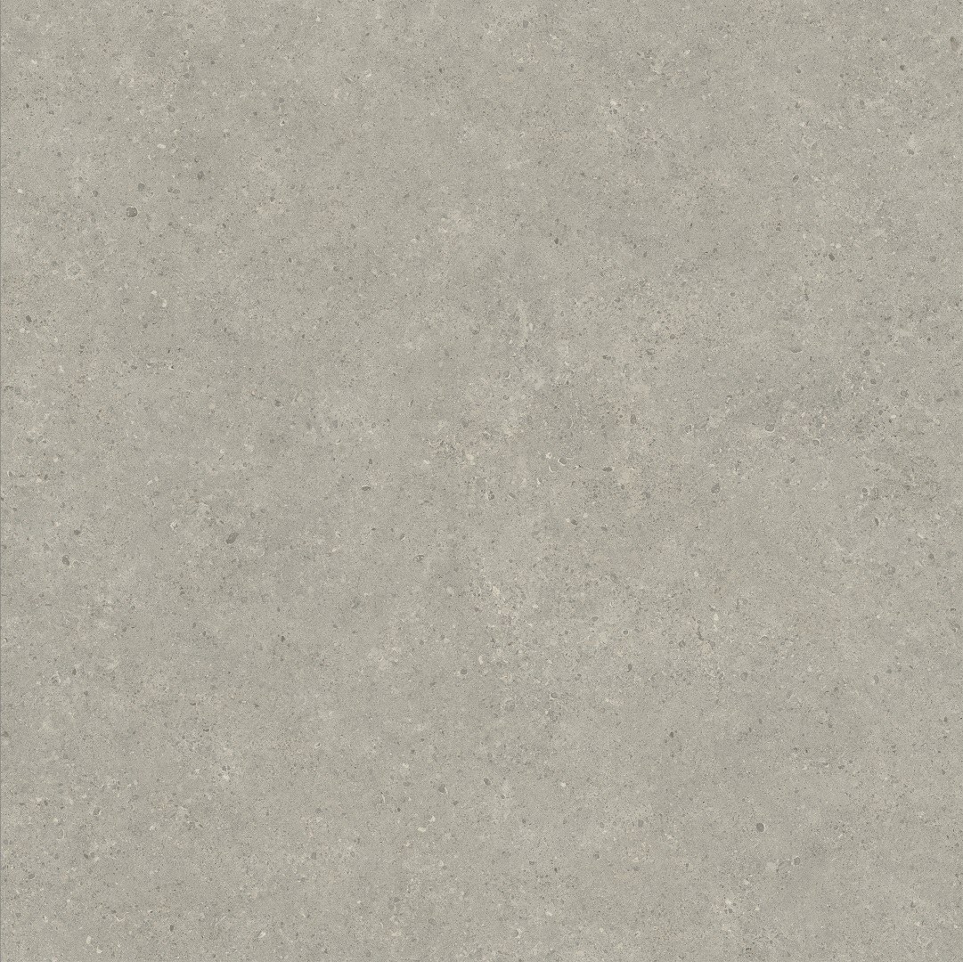 610010006216 На пол Статус Карбон Натуральный 120x120