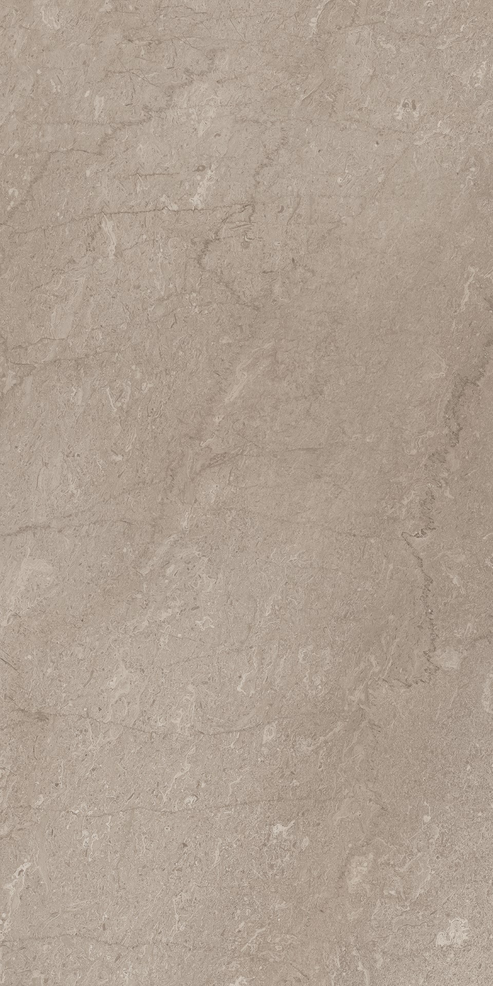 AEM02/NS_R9/60x120x9R/GW На пол Элемента Серый Неполированный Рект 60x120x9 - фото 4