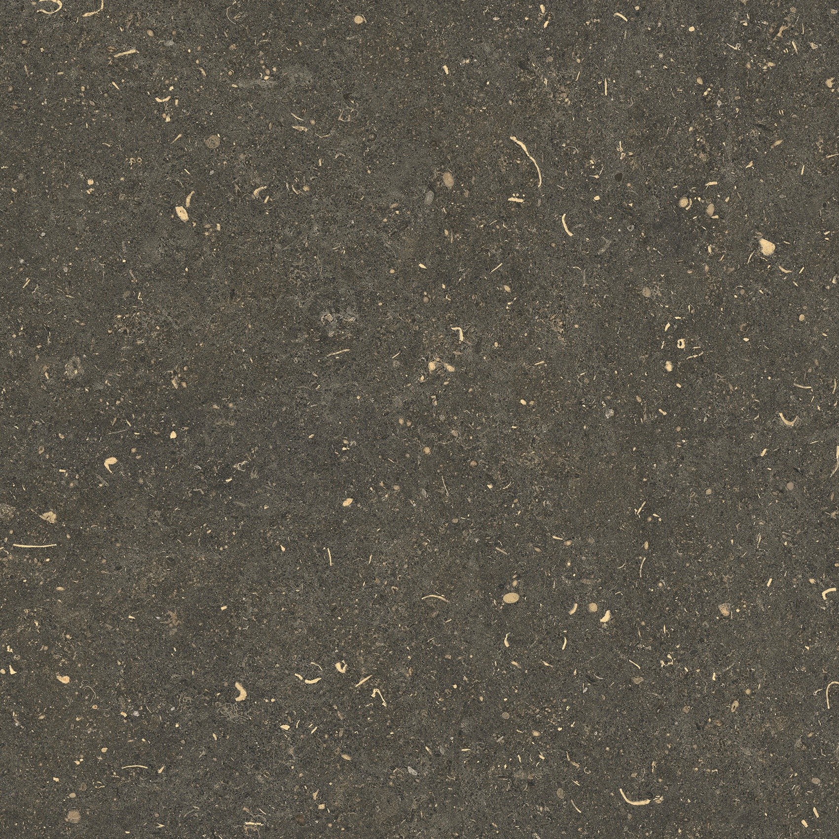 785487 На пол Rinascenza Arena Platino Matte 60x60