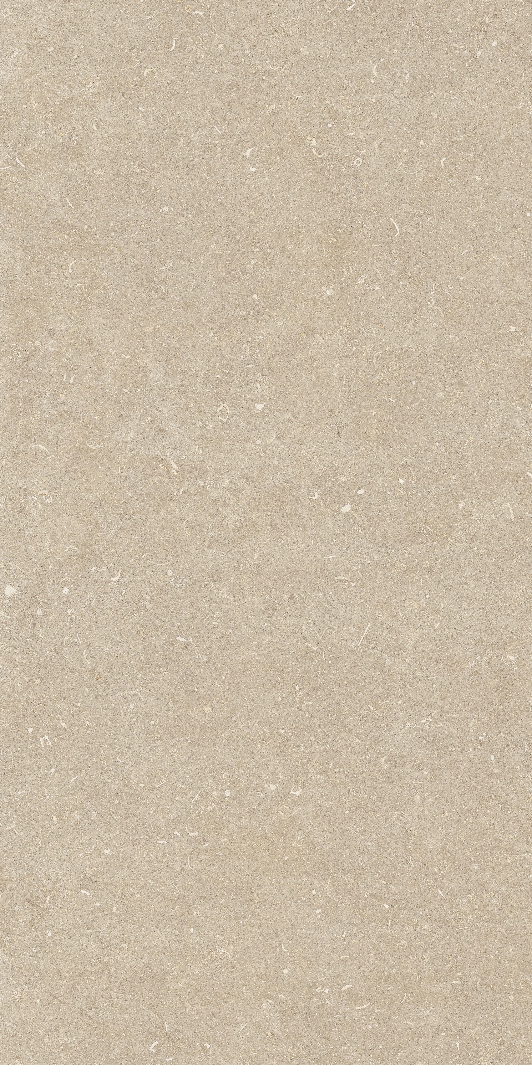 785493 На пол Rinascenza Arena Conchiglia Grip 60x120 - фото 9