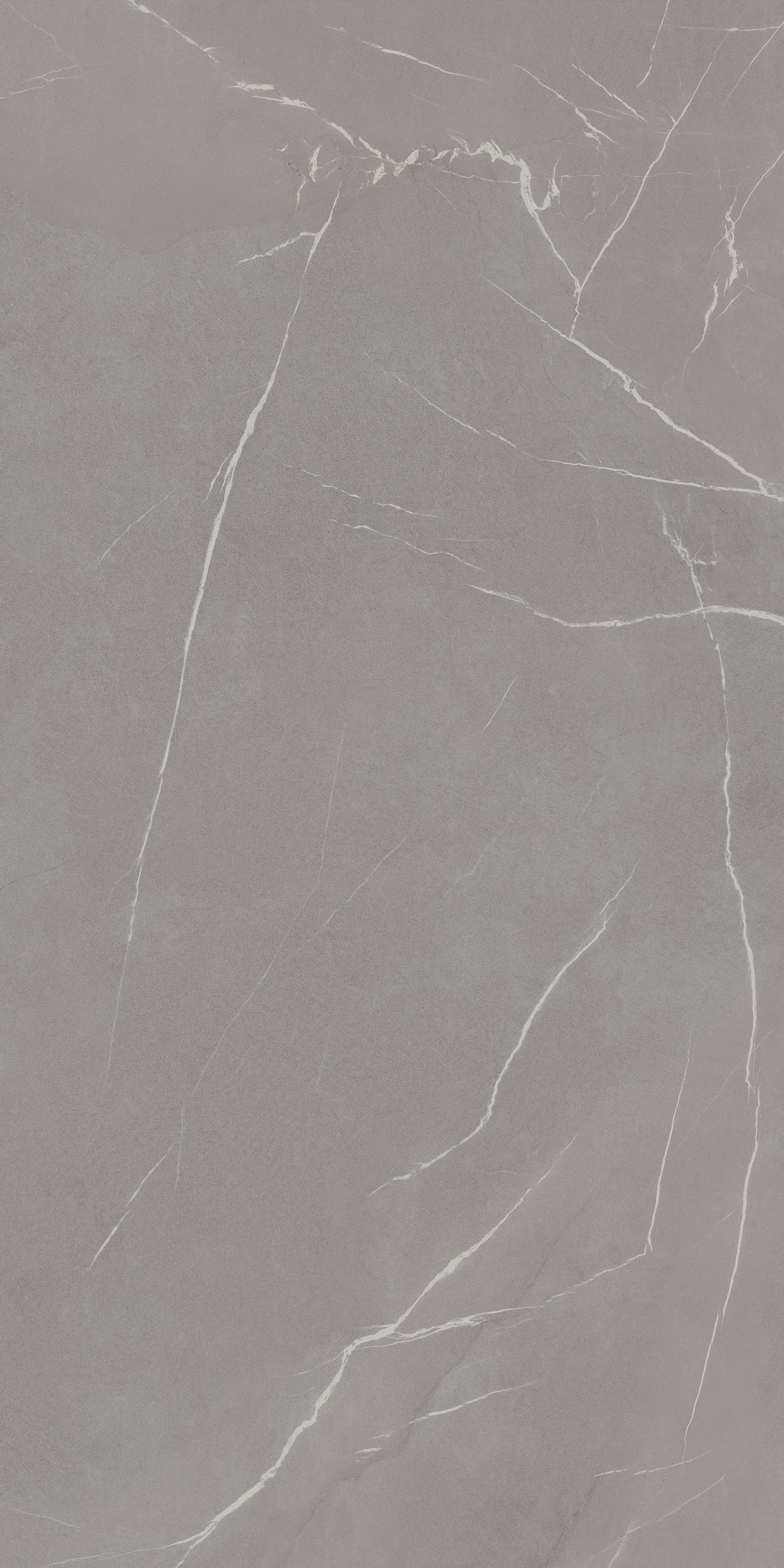 LAMF009354_IT На пол In-Side Pietra Piasentina Grigio 20+ 1620x3240