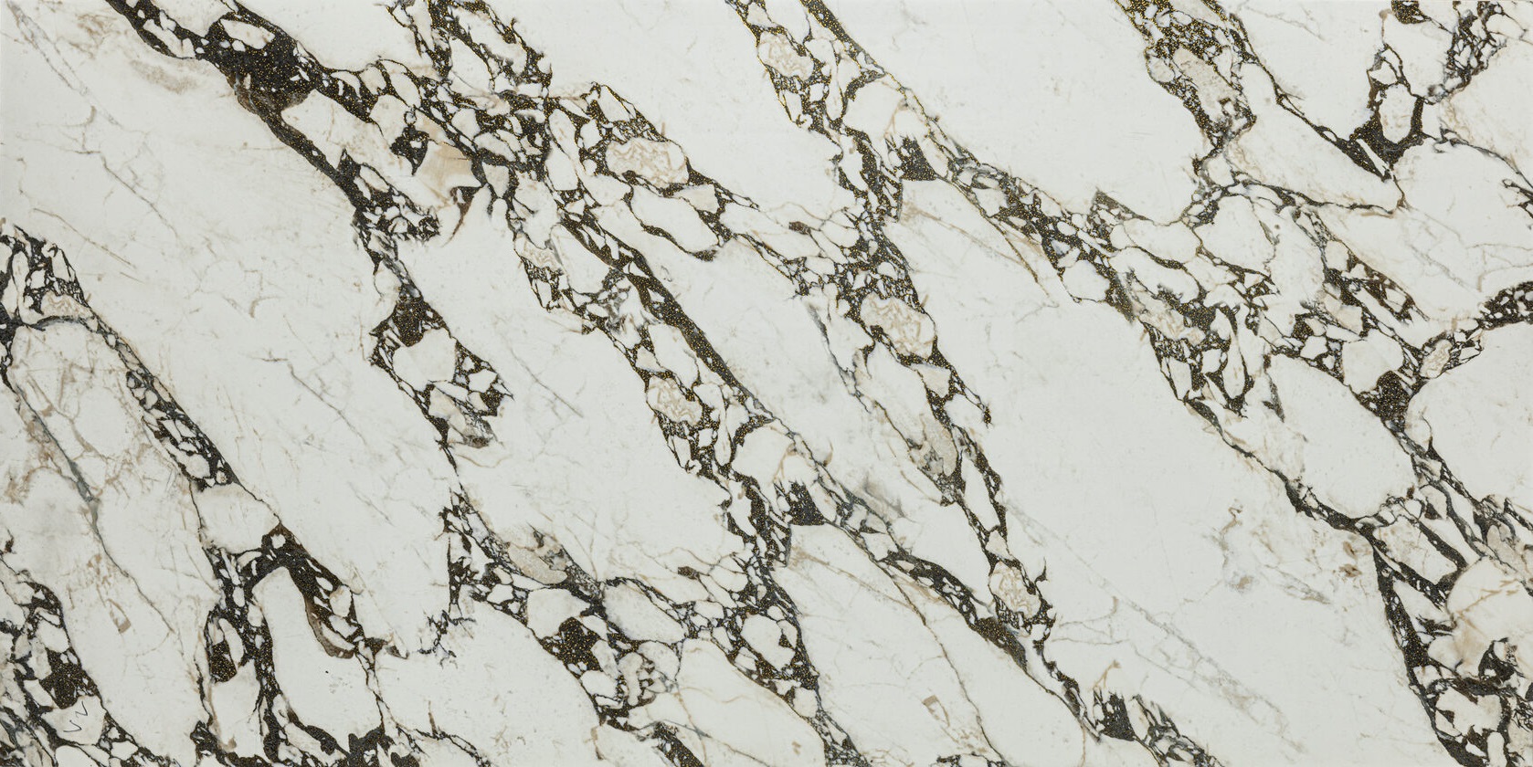 GS1261206 На пол Gloss Porcelain Полированная 60x120