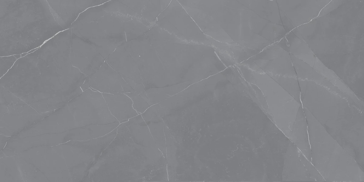 На пол Grigio Dark Polished 60х120 - фото 2