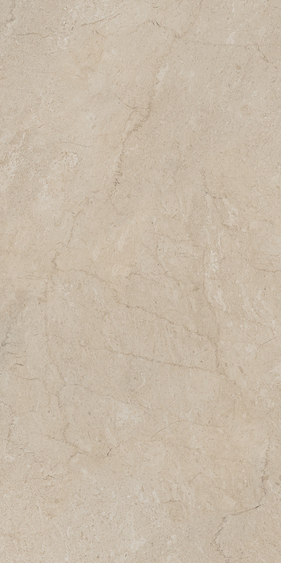 AEM01/NS_R9/60x120x9R/GW На пол Элемента Бежевый Неполированный Рект 60x120x9 - фото 2