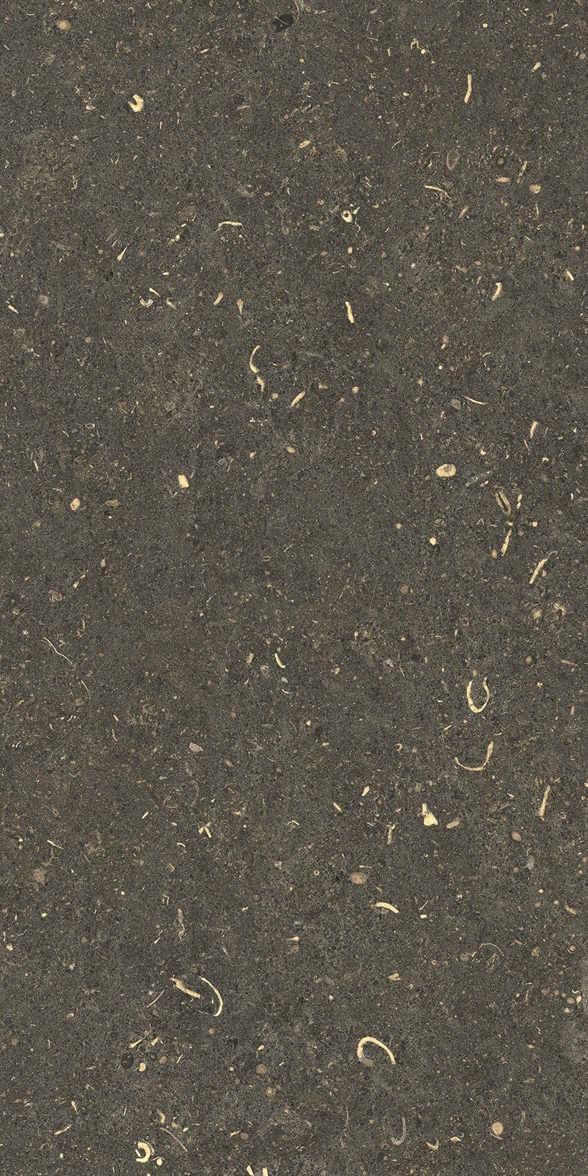 785491 На пол Rinascenza Arena Platino Matte 30x60 - фото 5