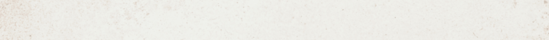 KMK2PFA001BN Бордюр Валлорис Карандаш бежевый светлый матовый 20x1.5x1 - фото 5