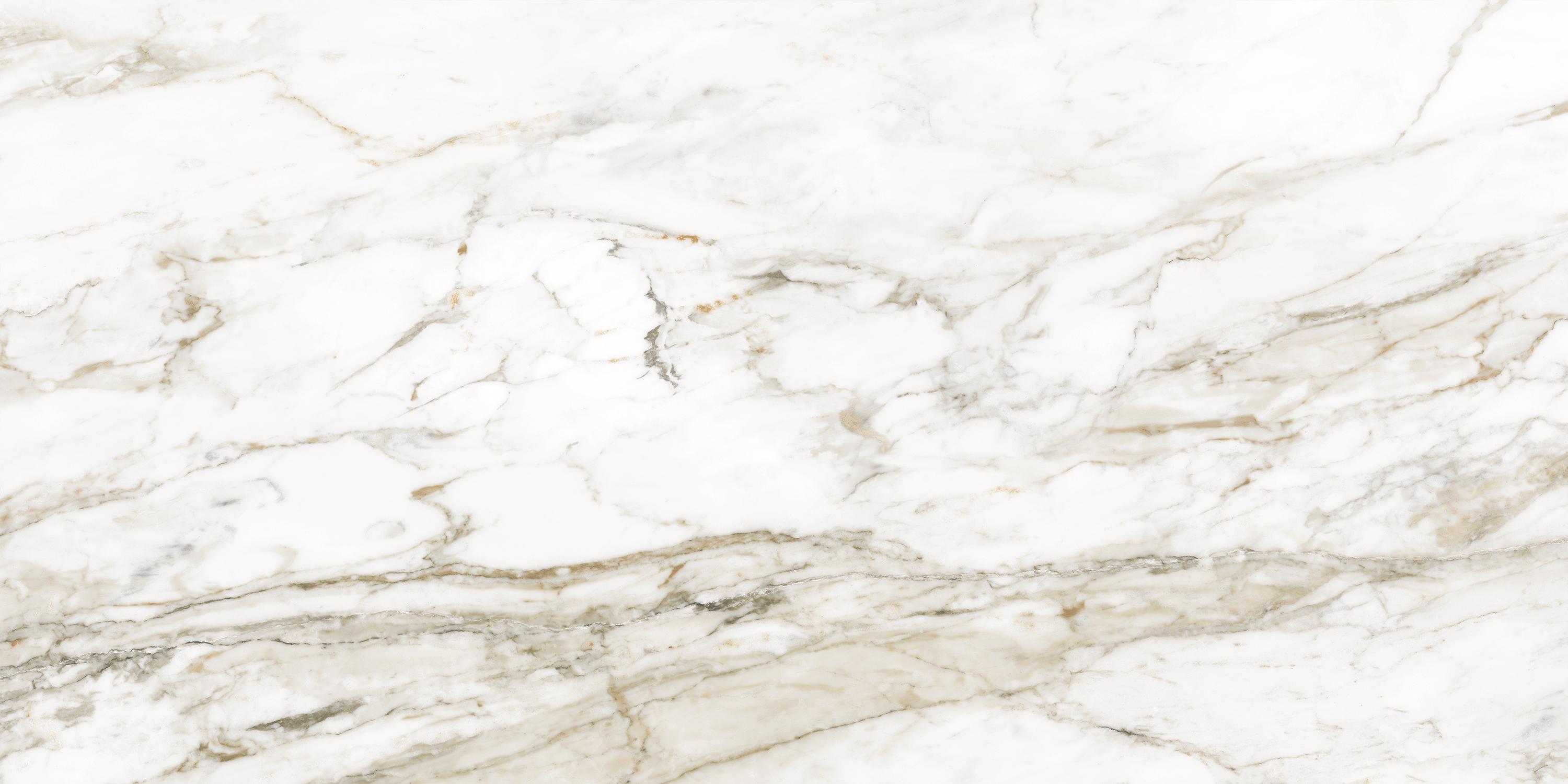 ENMAR8046GL60120 На пол Marble Calacatta Citrus Glossy 60x120
