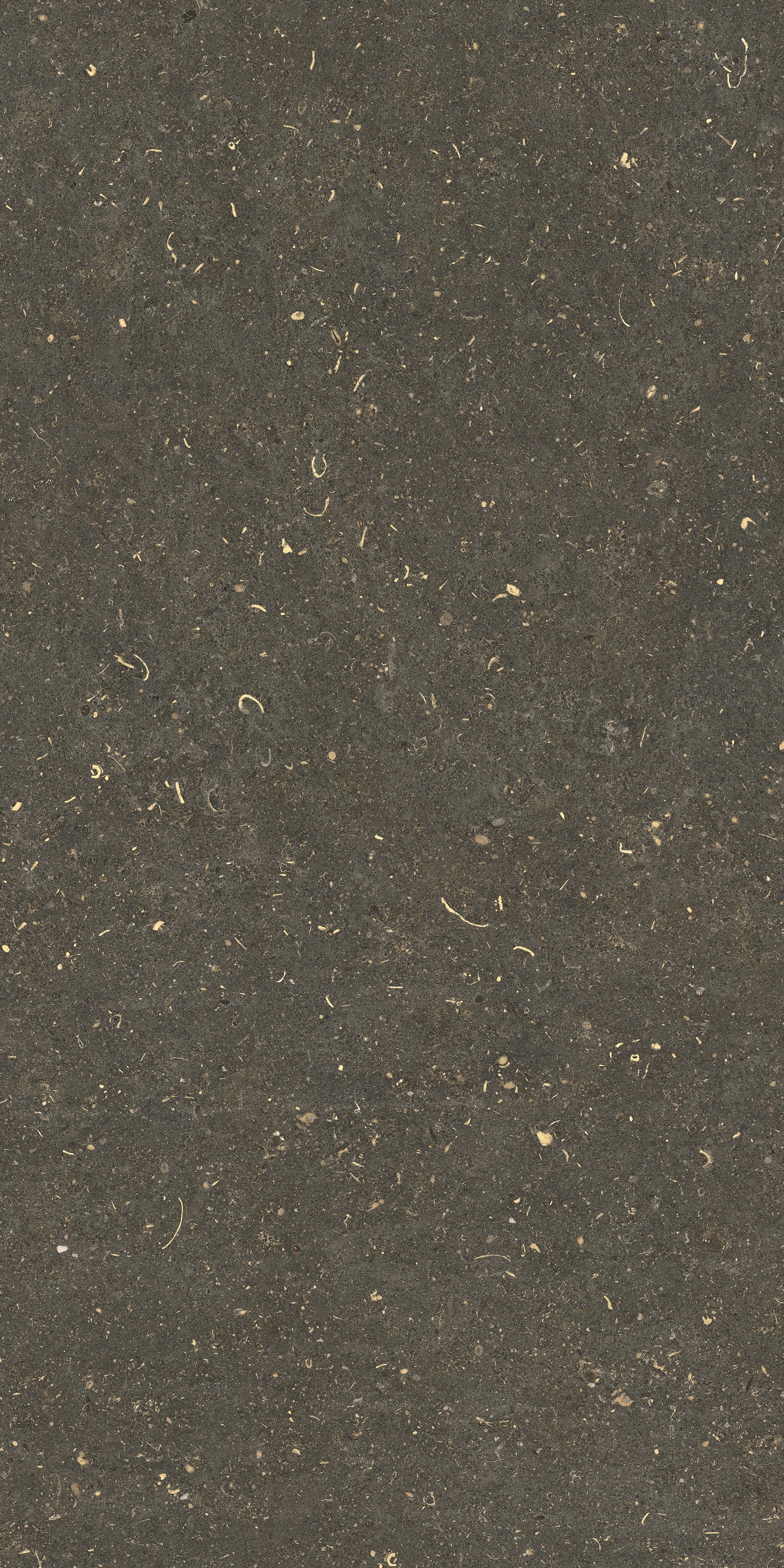 785511 На пол Rinascenza Arena Platino Grip 20mm 60x120 - фото 7