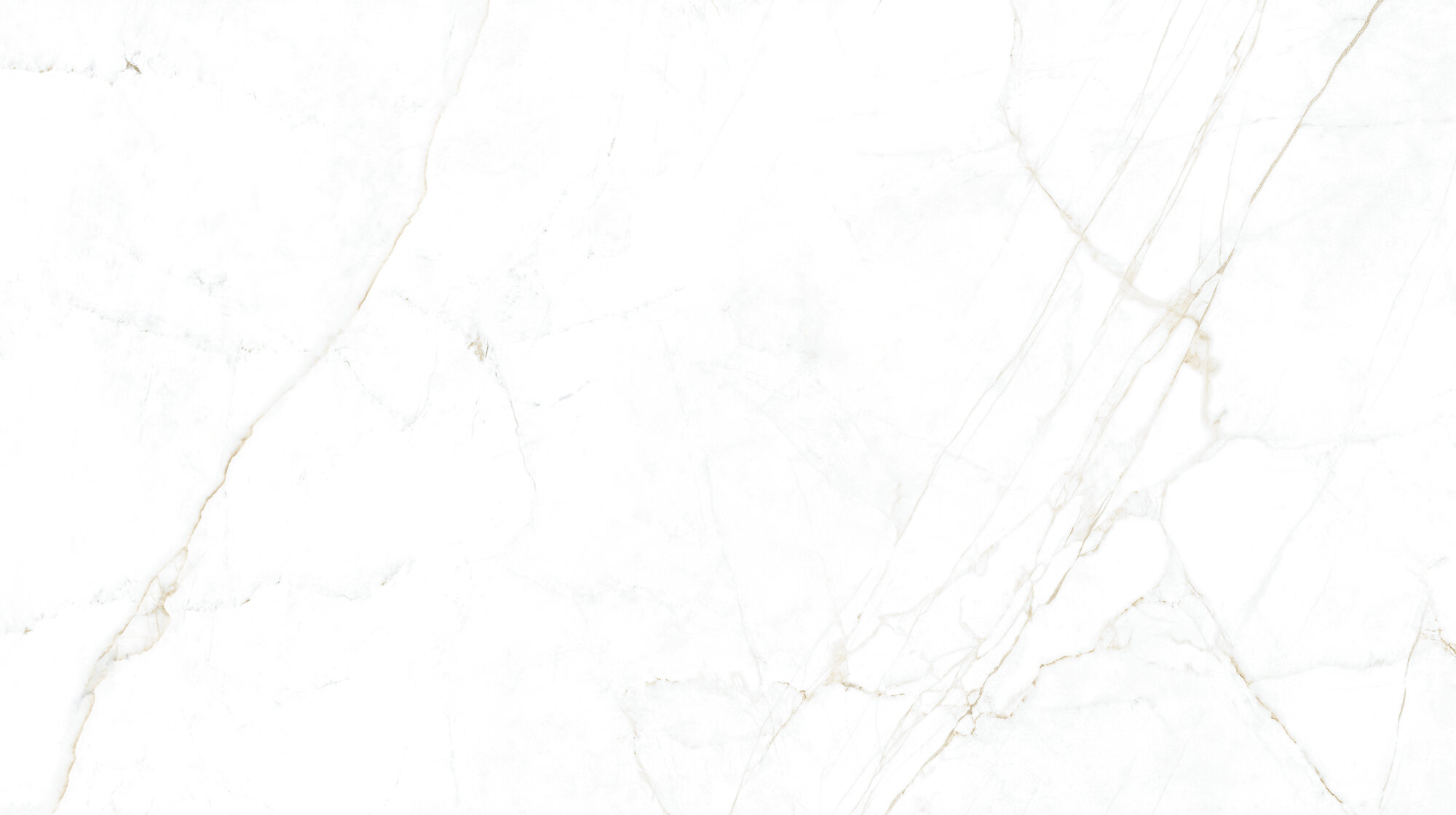 31745 На пол Museum Dual White/100X180/P 100х180 - фото 4