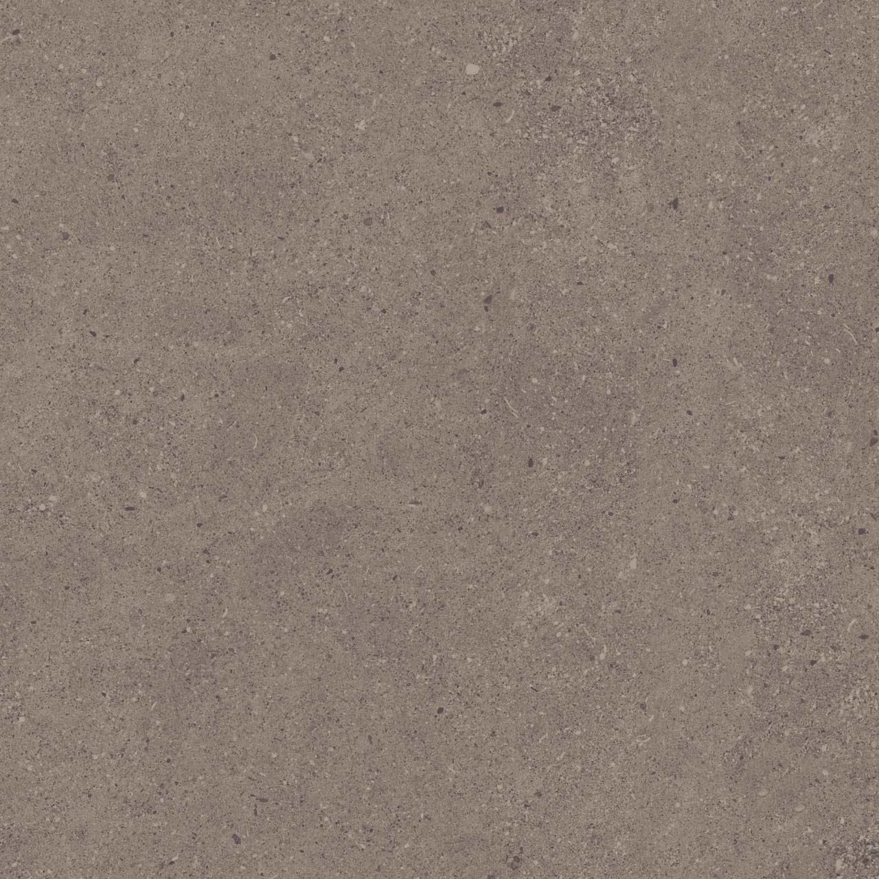 CE04/NR_R11/60x60x20R/GW На пол Спенс Темно-серый Структурированный Рект 60x60x20 - фото 8