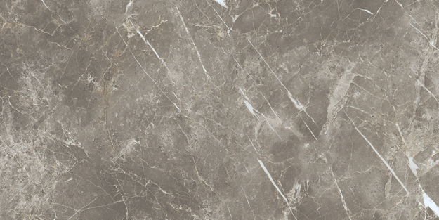 ECC2 На пол Elements Lux Persian Grey Silk RT 60x120 - фото 4