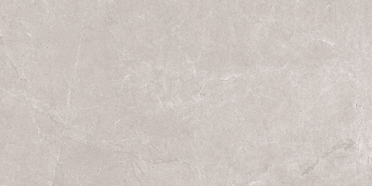 N20555 На пол Stone Aristo Grey Tm 60x120 - фото 3