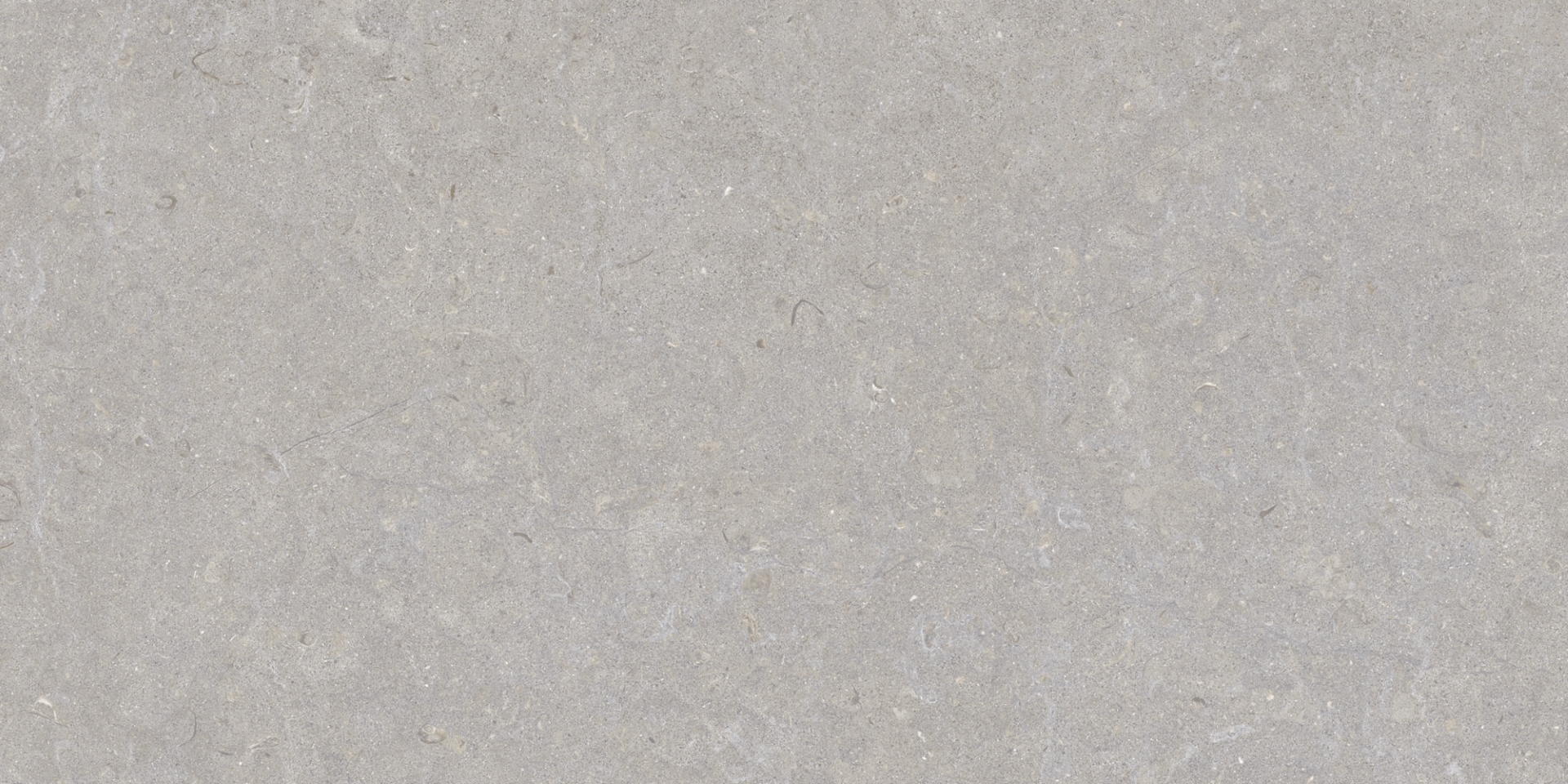 35568 На пол Ghent Grey/50X100X2/A/R 50x100 - фото 3