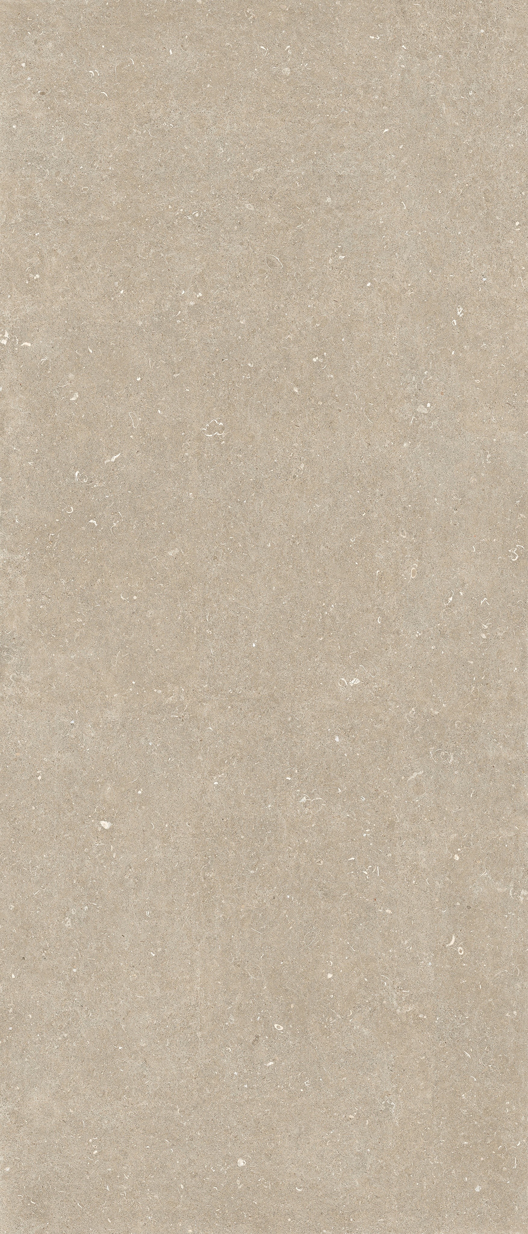 785571 На пол Rinascenza Arena Conchiglia Matte 6mm 120x280