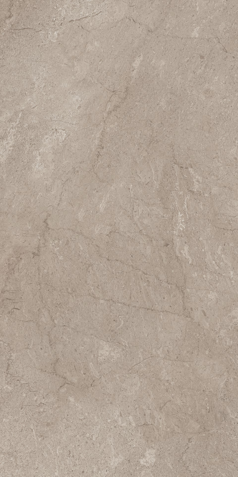 AEM02/NS_R9/60x120x9R/GW На пол Элемента Серый Неполированный Рект 60x120x9 - фото 2