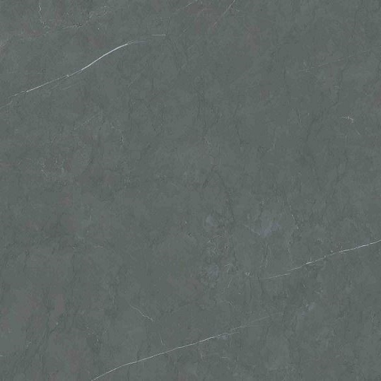 MN287CP261206 На пол Bulgaria Medium Grey Polished 6 mm 120x120