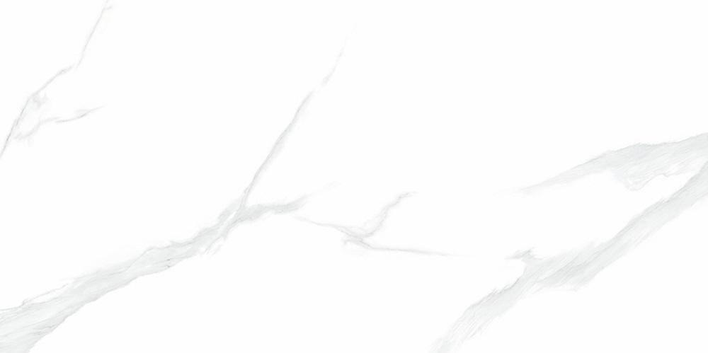 NTT9106P  На пол Bright And Shiny Statuario 60x120 - фото 4