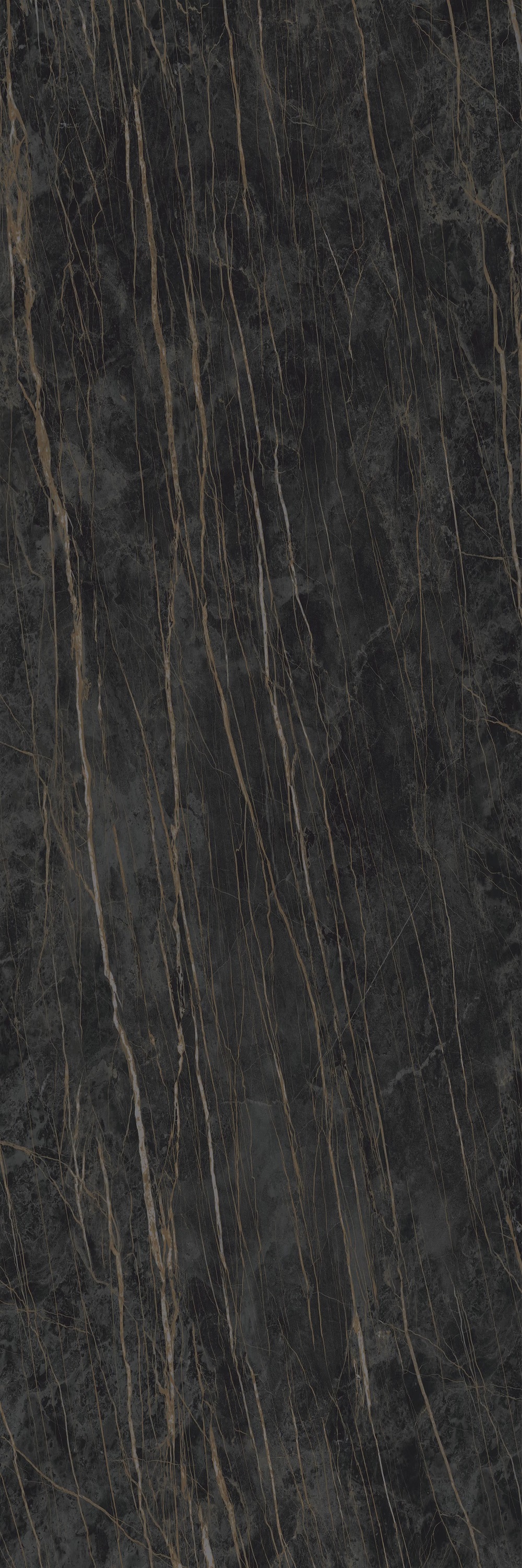 LAMFF00372_IT На пол I Naturali Marmi Noir Desir Lucidato 5 1000x3000