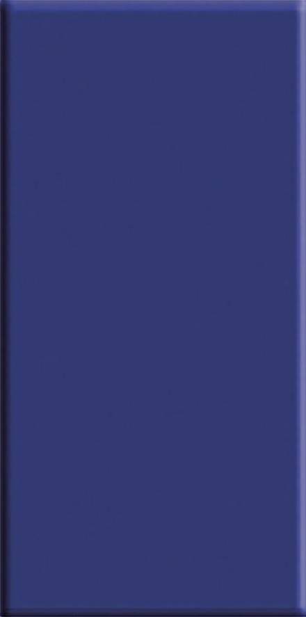 80127 На пол Olympic Series Cobalt 12x24.5