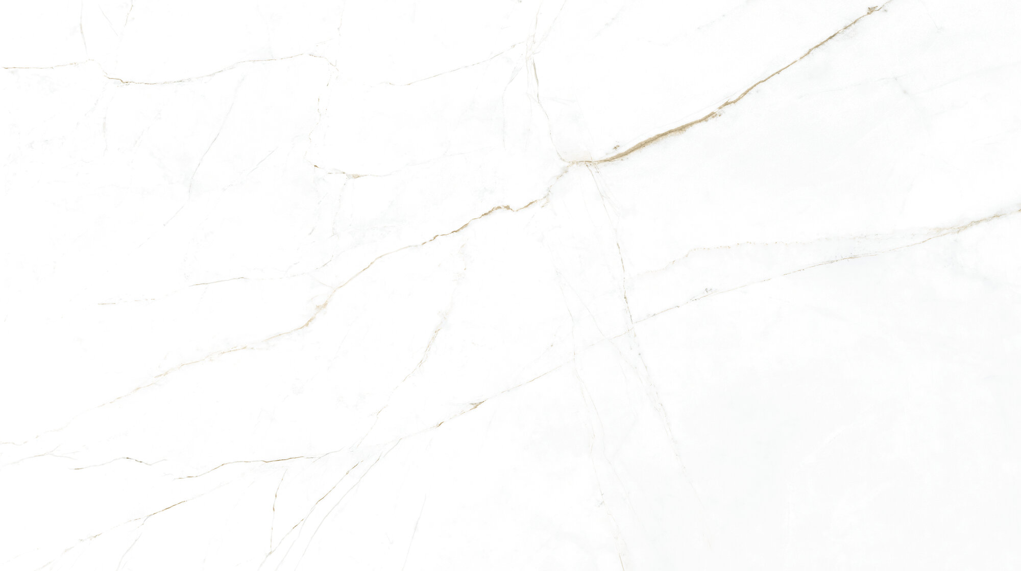 31745 На пол Museum Dual White/100X180/P 100х180 - фото 9