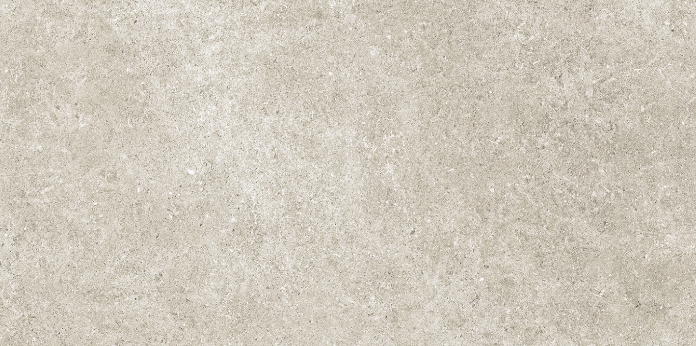 100356165 На пол  Stone L 59.6x120