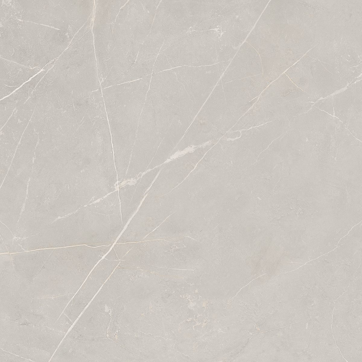 NL02/PS_NC/60x60x10R/GW На пол Nolana NL02 Light Grey Полированный Рект. 60x60x10 - фото 2