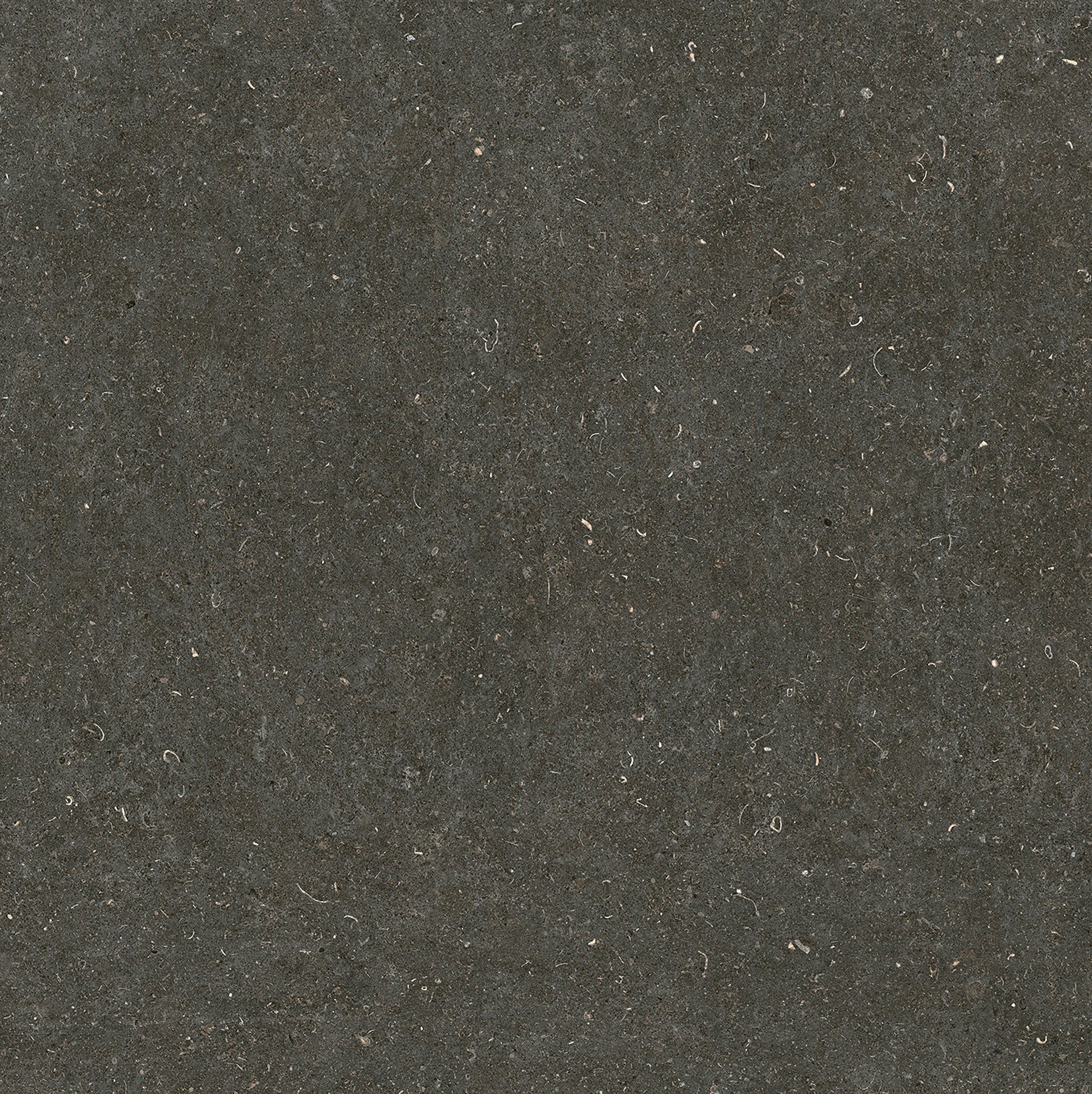 785581 На пол Rinascenza Arena Platino Matte 6mm 120x120 - фото 6