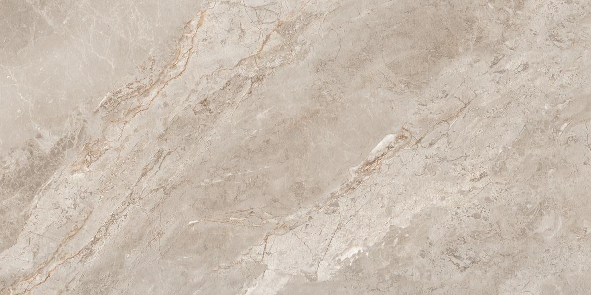 N20767 На пол Marble Rome Taupe Polished 60x120 - фото 5
