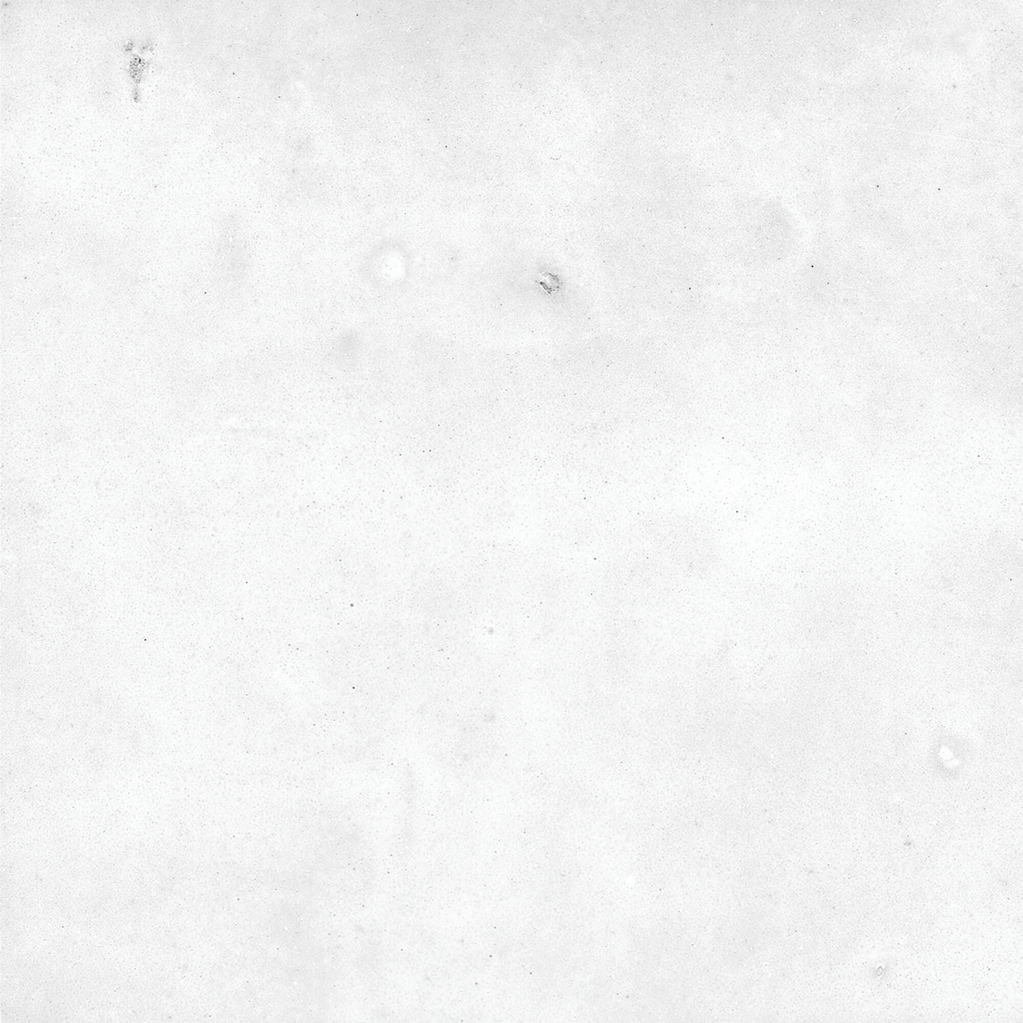 40850 На стену Afra White/R 10.7x10.7 - фото 27