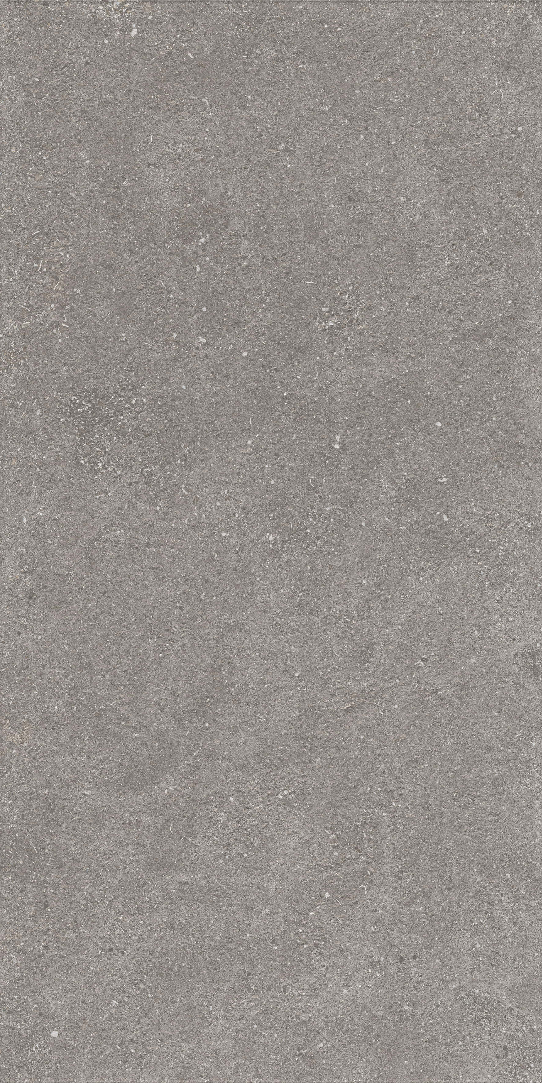1224 На пол Stone Graniti Grey Matt Ghr 120x60