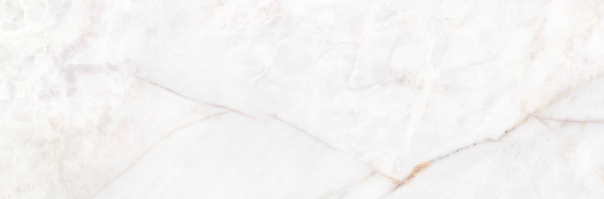 39500 На стену Museum Dahlia White SP/33.3X100/R 33.3x100 - фото 17