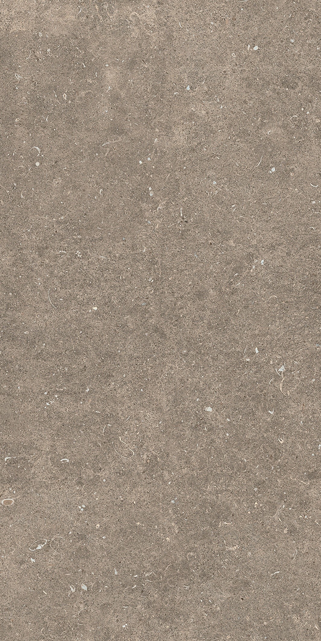 785576 На пол Rinascenza Arena Pietra Matte 6mm 60x120 - фото 3