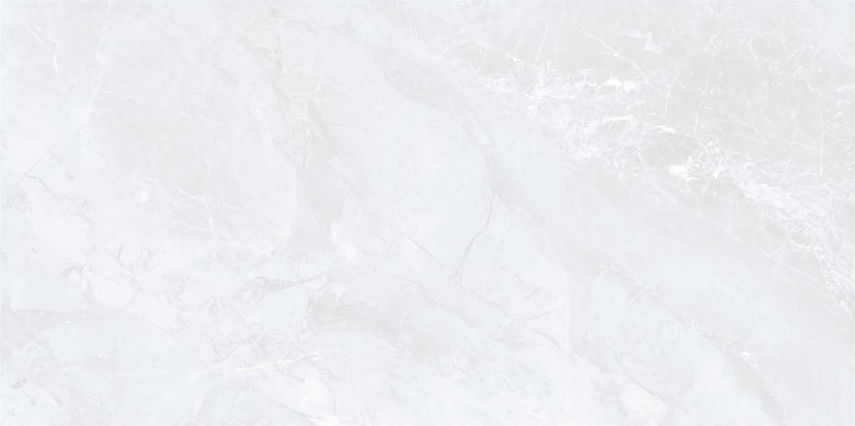 На пол Scoch Bianco Matt 60х120