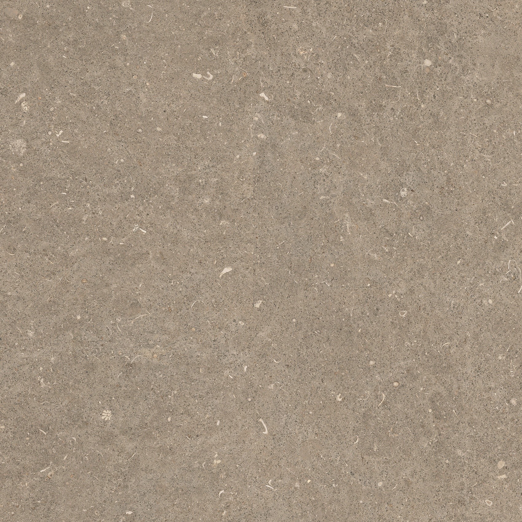 785498 На пол Rinascenza Arena Pietra Grip 60x60 - фото 6