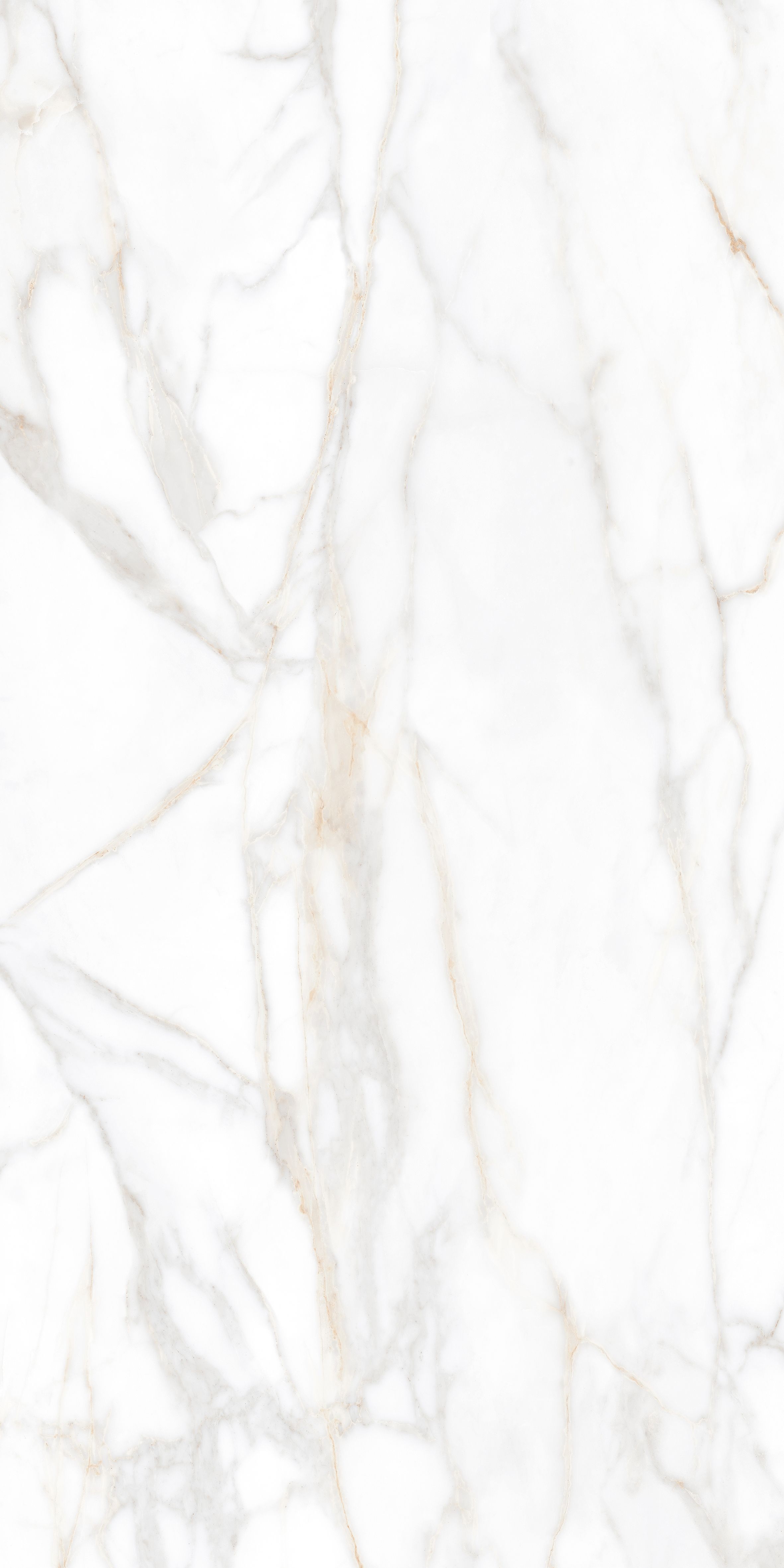 SM02/NS_R9/60x120x9R/GW На пол Supreme SM02 Gold Неполированный Рект. 60x120x9 - фото 3