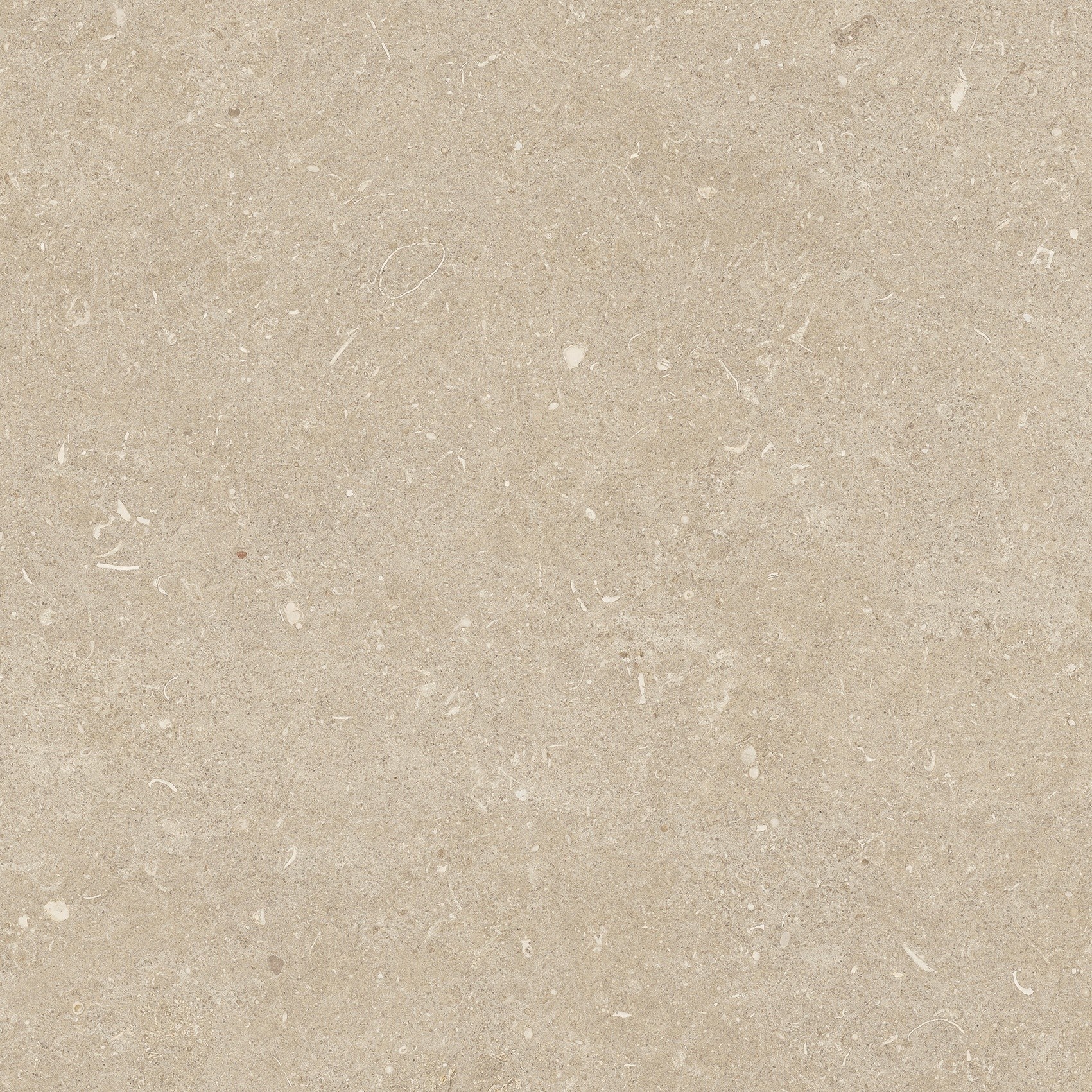 785505 На пол Rinascenza Arena Conchiglia Grip 20mm 120x120 - фото 5