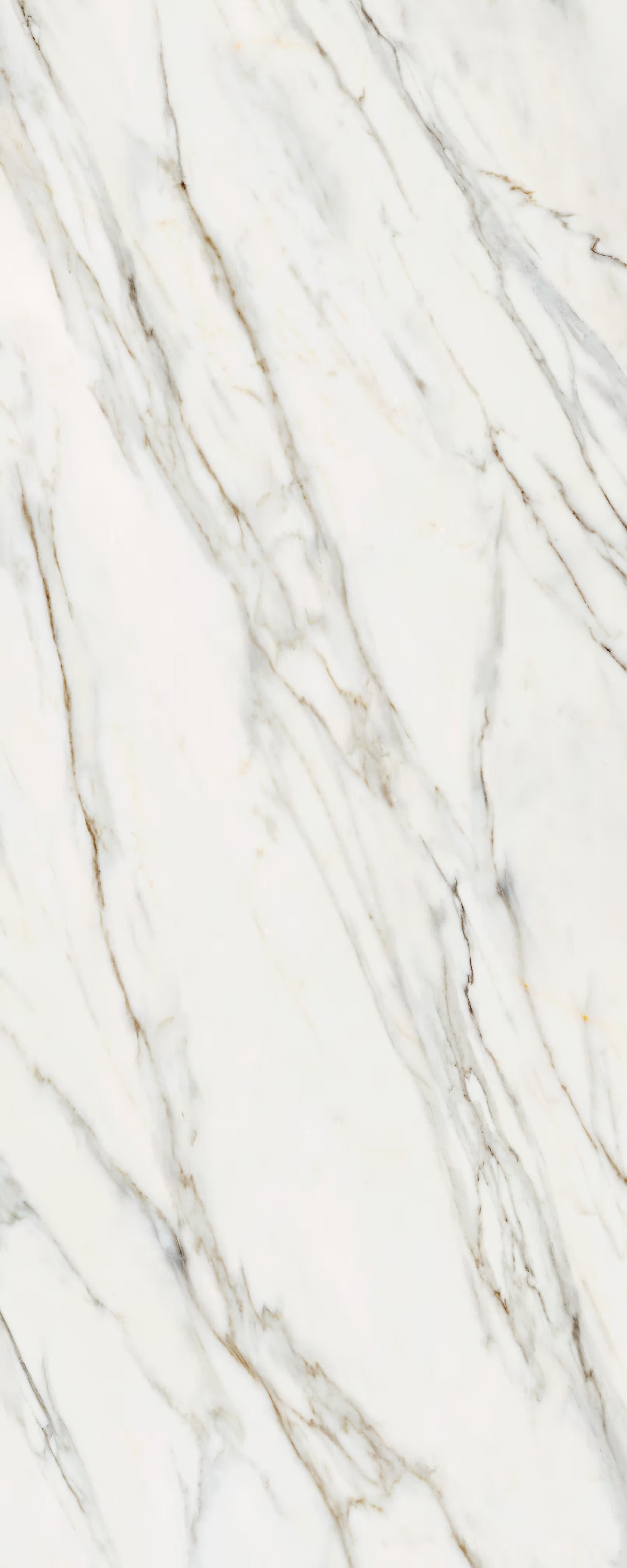 LAMF011514 На пол I Naturali Marmi Calacata Gold 5 1200x3000