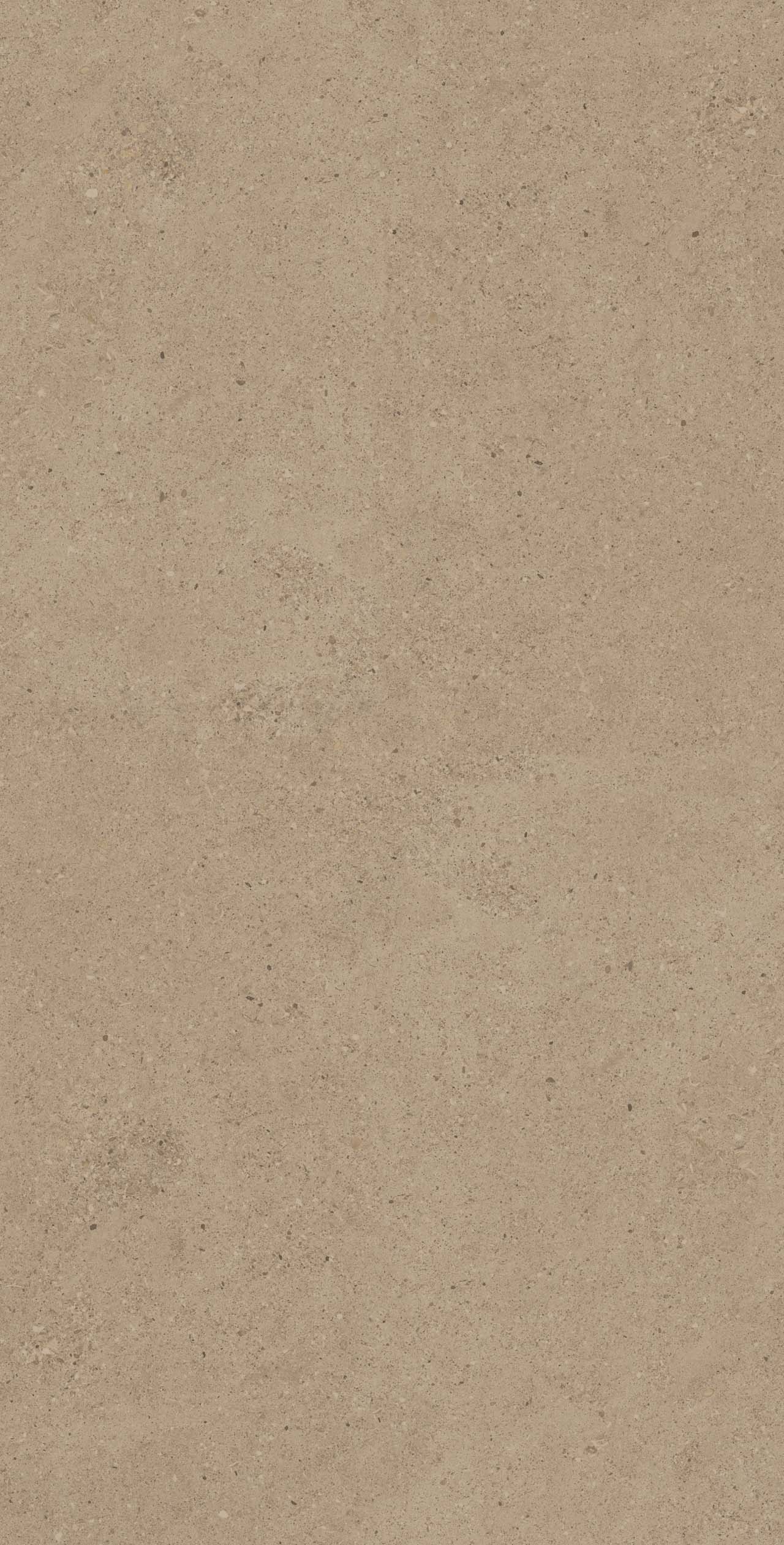 CE01/NR_R9/60x120x9R/GW На пол Спенс CE01 Темно-бежевый Структурированный Рект 60x120x9 - фото 3