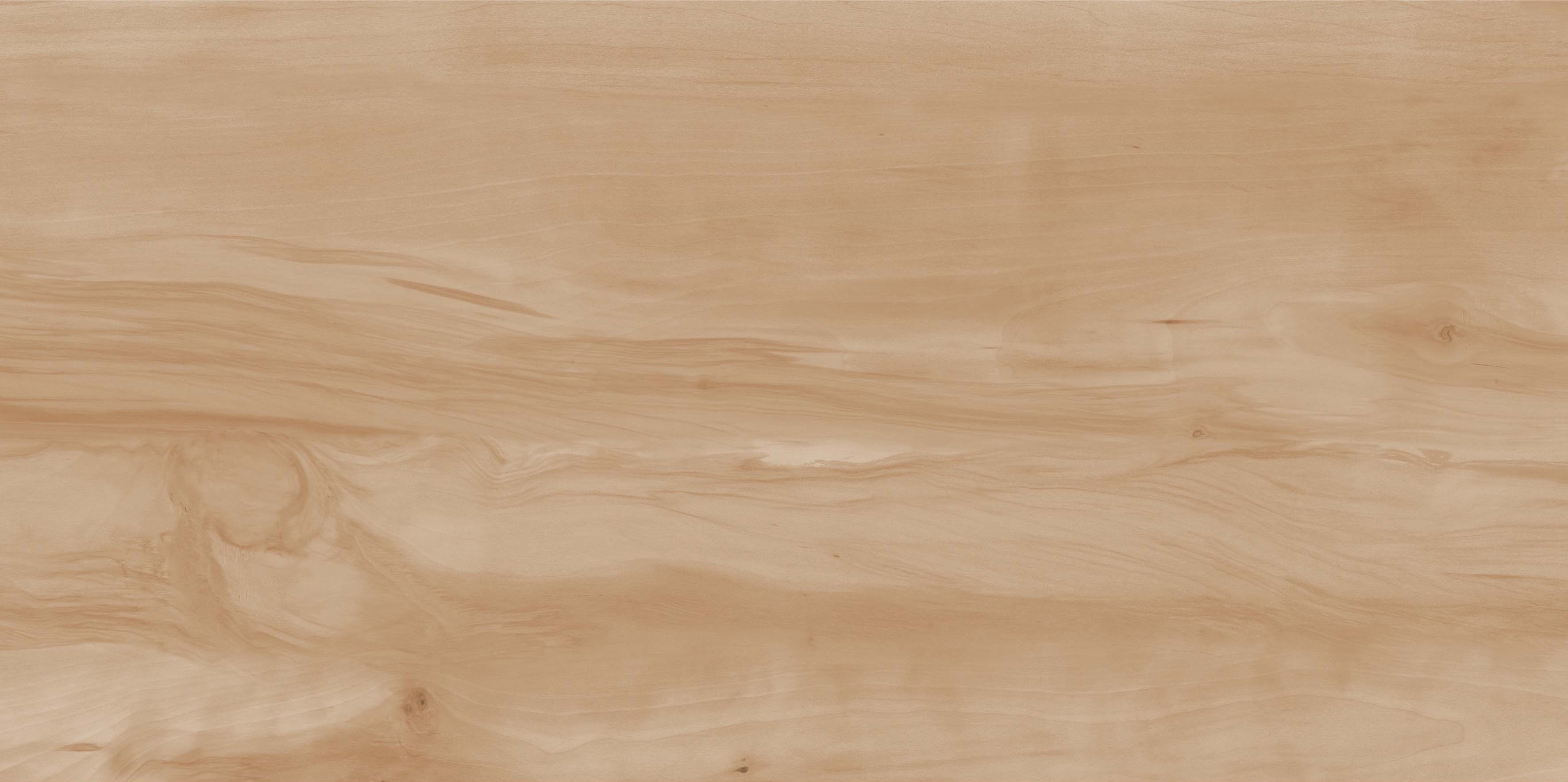 На пол Paint Wood Bone Matt 60x120
